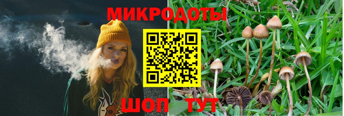 Галлюциногенные грибы Magic Shrooms Миасс